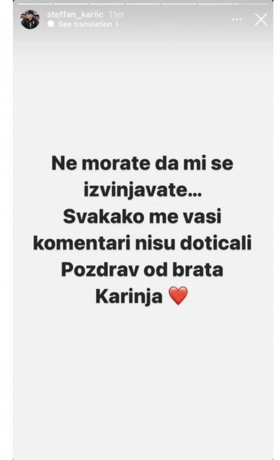 Objava Stefana Karića