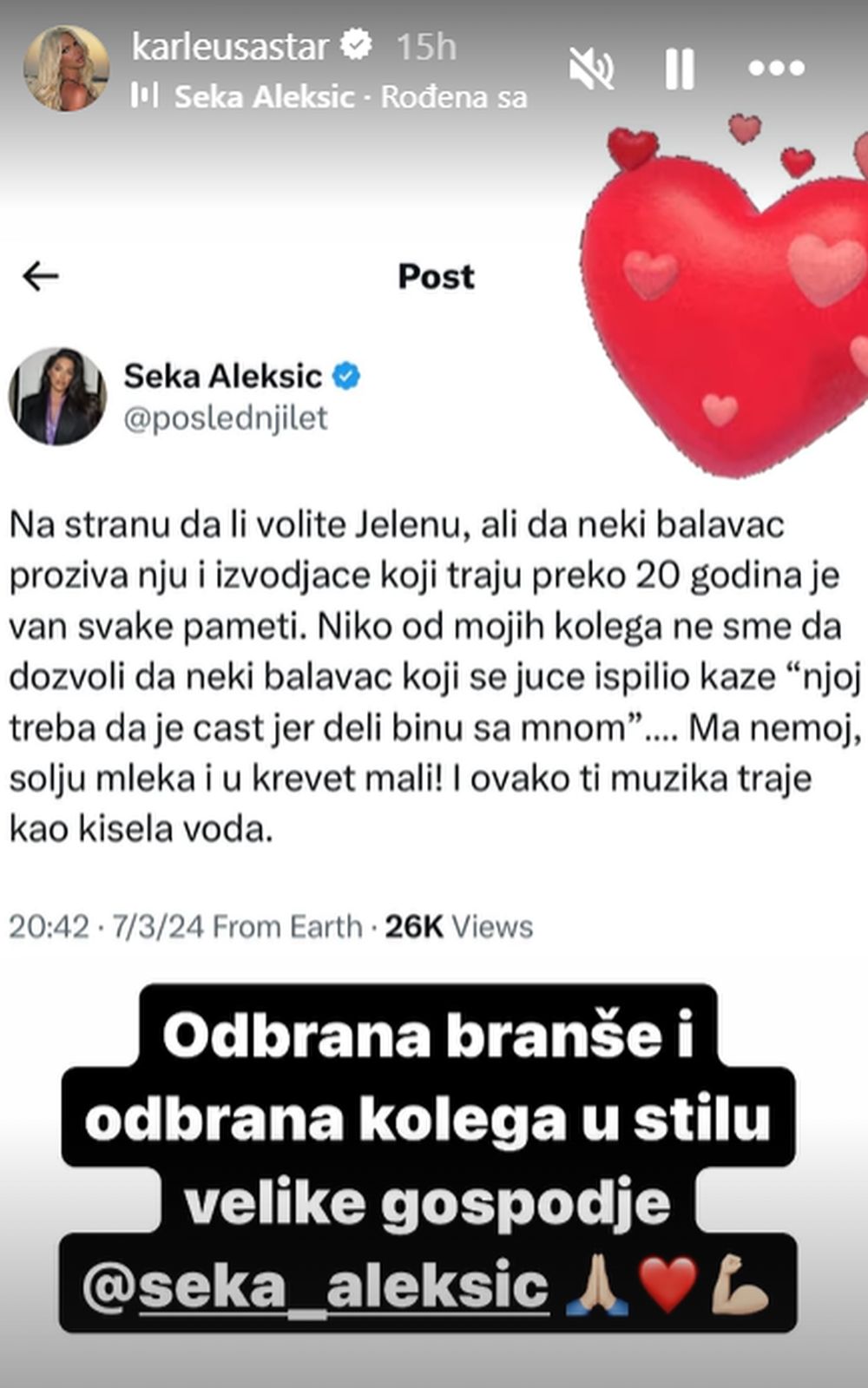 Objava Seke Aleksić
