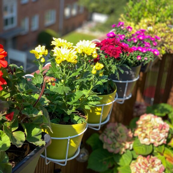 kako zaštiti biljke na terasi od vrucine
